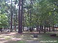 Guy Fanguy - Artist - Photographer - Guy Fanguy - Campgrounds - Arkansas - Lake Catherine State Park (15).jpg Size: 89946 - 7